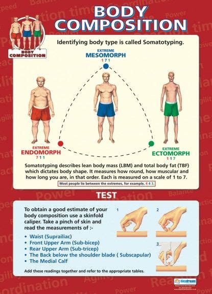 Your body composition is very heavily impacted by what you eat and how you exercise. Body Composition Poster | Body composition, Physical ...