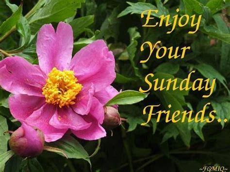 Enjoy Your Sunday Friends Pictures Photos And Images For Facebook