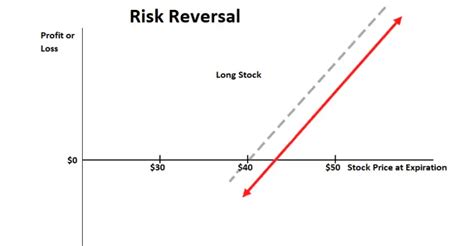 Risk Reversal Option Strategy New Trader U