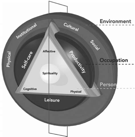 Canadian Model Of Occupational Performance And Engagement Source