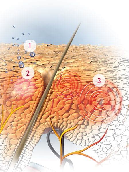 Eucerin Scalp And Hair Problems About Dry And Itchy Scalp