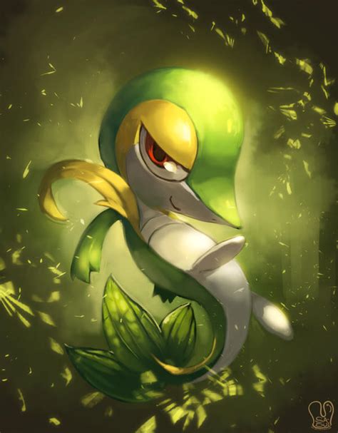 Pokemon Snivy By Sa Dui On Deviantart