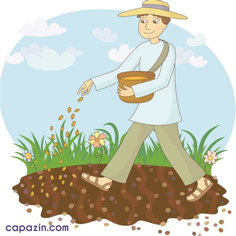 The Sower The Seed The Soil Seed By The Wayside Capazin