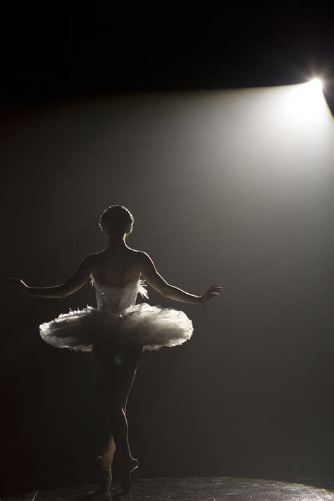 Black Swan Ballet Beautiful Dance Photography Ballet Photography