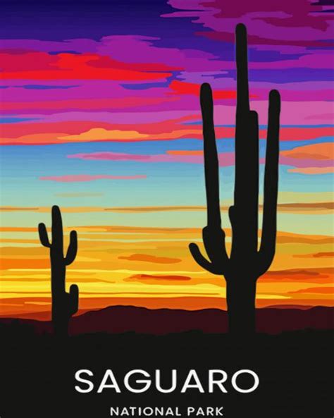 Sunset Saguaro National Park Art 5d Diamond Paintings