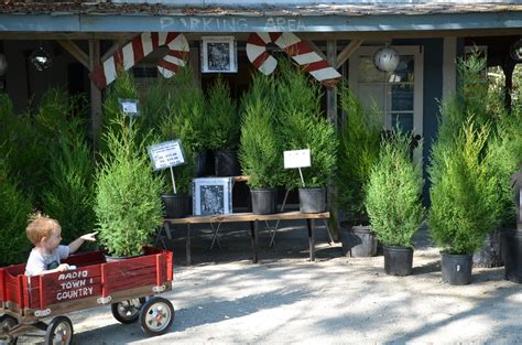 Check spelling or type a new query. Florida Native Plants Nursery & Landscaping - Nurseries ...