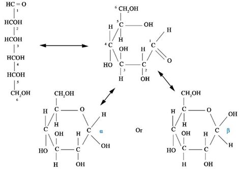 Figure 1 Open Chain And Pyranose Ring Structures Of The Hexose Sugar D