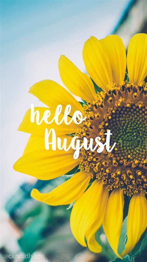 Hello August Sunflower bright happy background August 2016 wallpaper ...