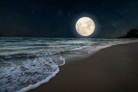 Romantic Moonlight Beach