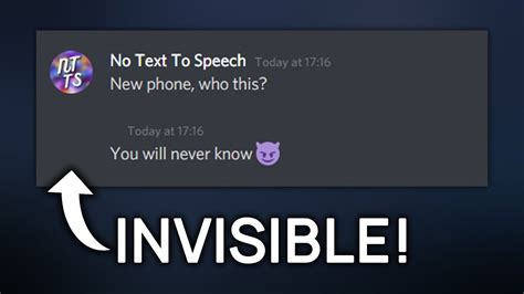 How To Have An Invisible Discord Profile Youtube