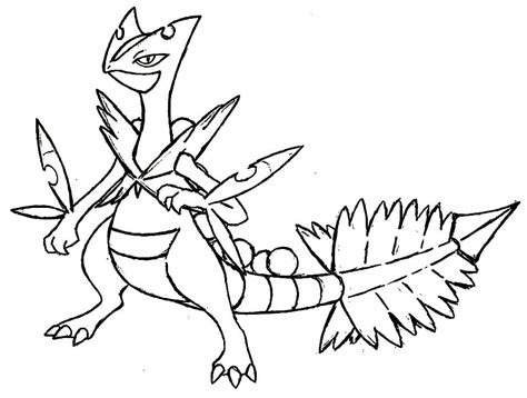 Sceptile Coloring Page At Getcolorings Com Free Printable Colorings My XXX Hot Girl