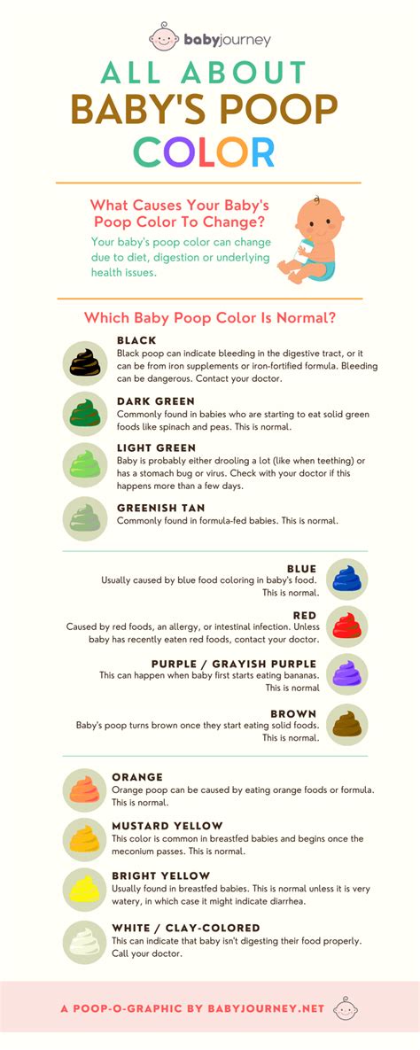 Cristopher Cunningham Your Baby Poop Color Chart Explained Baby