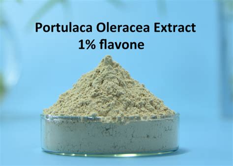 Where To Buy Purslane Portulaca Oleracea Extract Manufacturer Andsuppliers