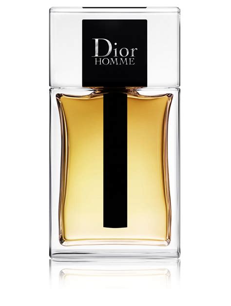 Christian Dior Homme 100ml Eau De Toilette Spray Dior Homme Dior