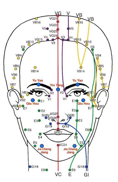 Akupunkturpunkt Gesicht Beliebt Bilder Medecine Chinoise