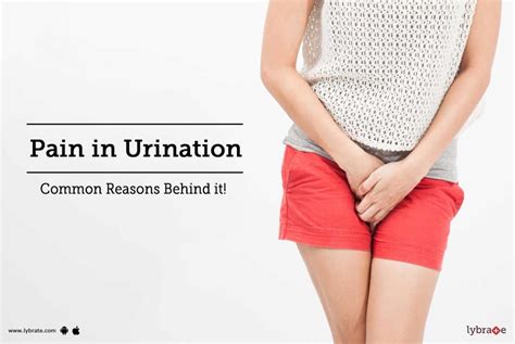 Pain In Urination Common Reasons Behind It By Dr K S Shiva Kumar