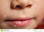 Piccola bocca del bambino fotografia stock. Immagine di bocca - 26657874