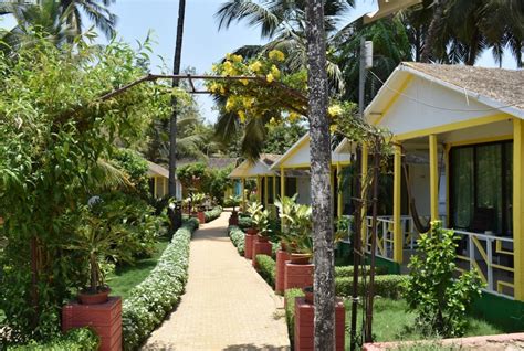 Palolem Beach Resort Best Rates On Goa Hotel Deals Reviews And Photos