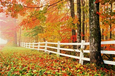 Changing Seasons Download Hd Wallpapers And Free Images