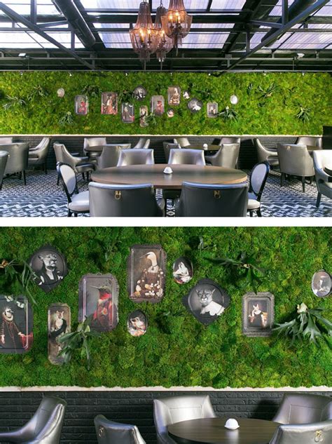 Moss Walls The Interior Design Trend That Turns Your Home Into A