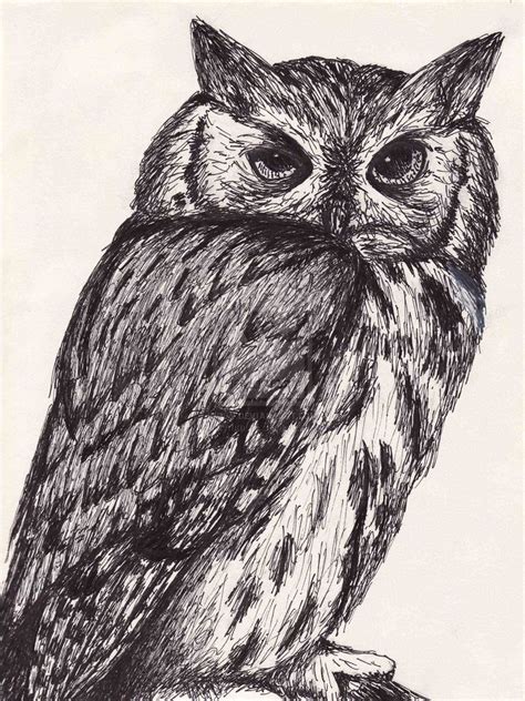 Granted there are some related books on drawing animals but these aren't always enough. Animal Ink Drawings | Pen And Ink Drawings Of Animals Pen and ink owl by azymmuth | Animal ...