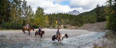 Banff Horseback Ride 1hr Spray River Banff Trail Riders