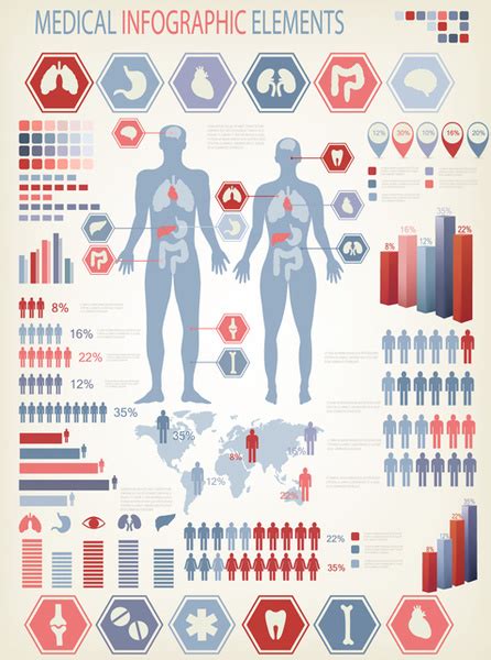 Human Health Infographics Vector Free Vector In Adobe Illustrator Ai Ai Vector Illustration