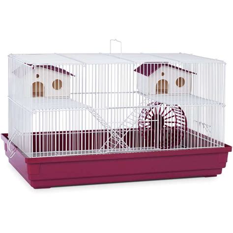 Top 10 Best Hamster Cages In 2022 Reviews Buying Guide