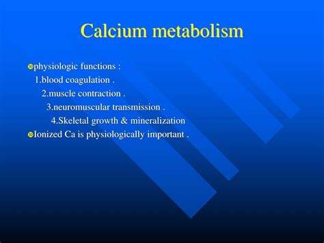 Ppt D Calcium Metabolism And Hypocalcemia Powerpoint Presentation