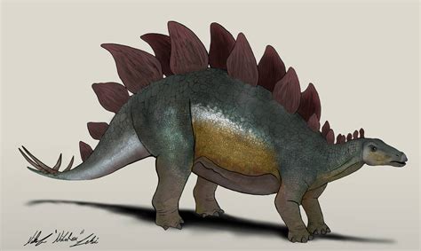 Jurassic World Camp Cretaceous Stegosaurus V1 By Nikorex On Deviantart