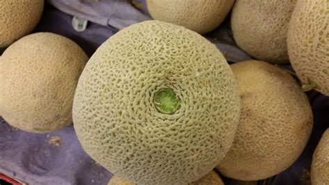 The Produce Savant How To Pick A Good Cantaloupe