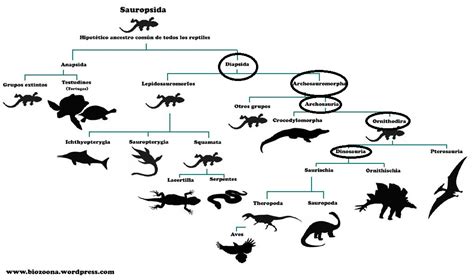 Dinosauriomanía Lo Que Querías Saber De Los Dinosaurios ¿cuál Fue El