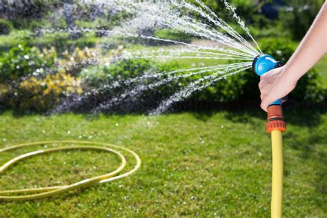 A rule of thumb is to wait as long as possible in the spring before starting to irrigate. Lawn care starts here! - Amgrow