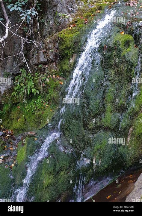 Cheile Borzesti Gorges Natural River Area Waterfall On Small River In