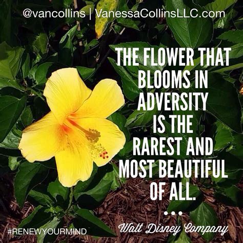 The flower that blooms in adversity is. The flower that blooms in adversity is the rarest and most beautiful of all. Disney Co. Mulan ...