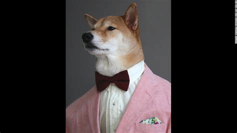 Menswear Dog Offers Fashion Advice