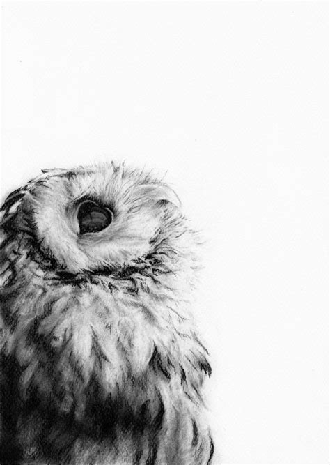 Archie I Print Owl Print Animal Print Woodland Art Black And White