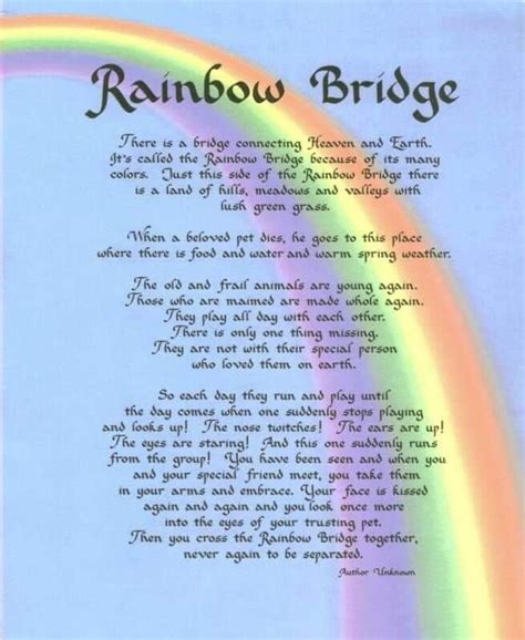 Rainbow Bridge Printable Poem For Dogs Printable Templates Protal