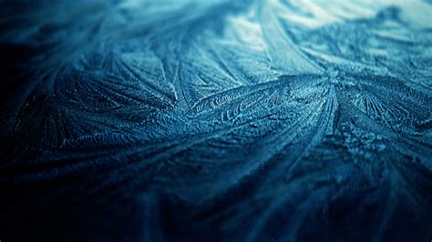 Wallpaper Nature Blue Ice Frost Texture Atmosphere Leaf Wave