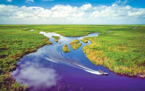 What Do You Need To Know Before Visiting Everglades National Park Az