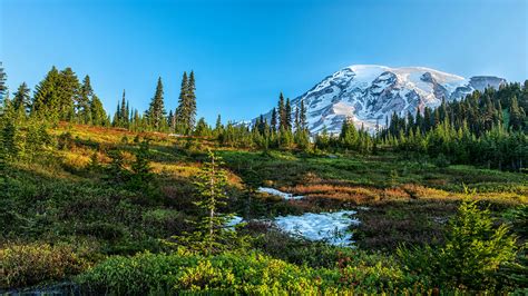 Pictures Washington Usa Mount Rainier National Park Nature 1920x1080