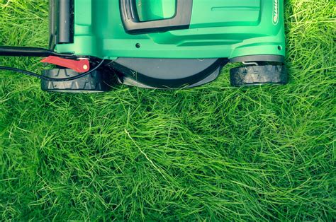 7 Tips For Preparing Your Lawn For Spring — Kevin Szabo Jr Plumbing