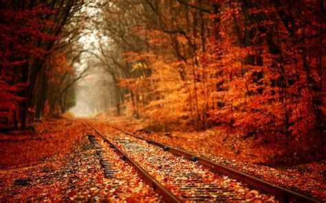 1920x1200 Autumn Colors Fall Forest Leaves Railroad Seasons