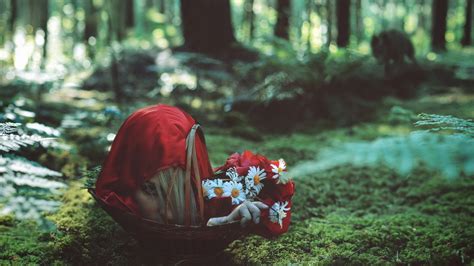 Little Red Riding Hood Hd Wallpapers Backgrounds