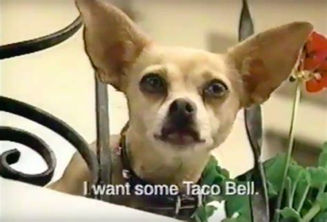 exploring the uniqueness of the yo quiero taco bell commercial an iconic ad campaign in