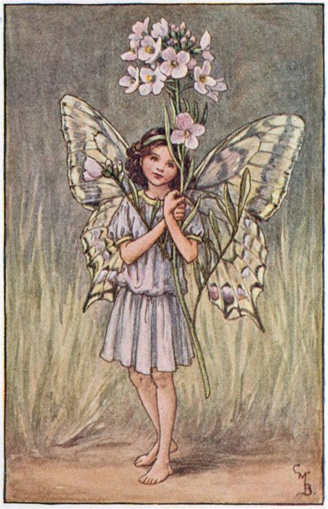 The Fairies Of The Spring Archives Flower Fairies In 2020