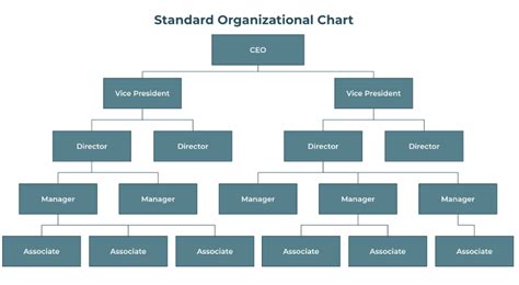Organizational Chart For Small Business Standard Org Chart Example