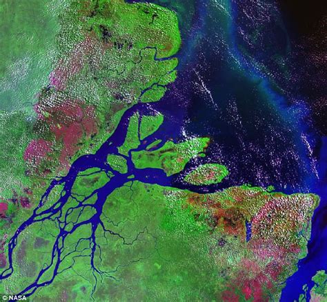 Scientists Find Underground River Beneath Amazon Daily Mail Online