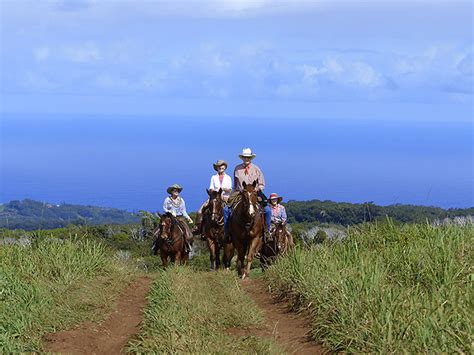 5 Cool Horseback Riding Tours In Maui Hawaii