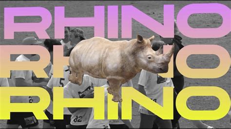 Rhino Season Highlights 2021 Youtube